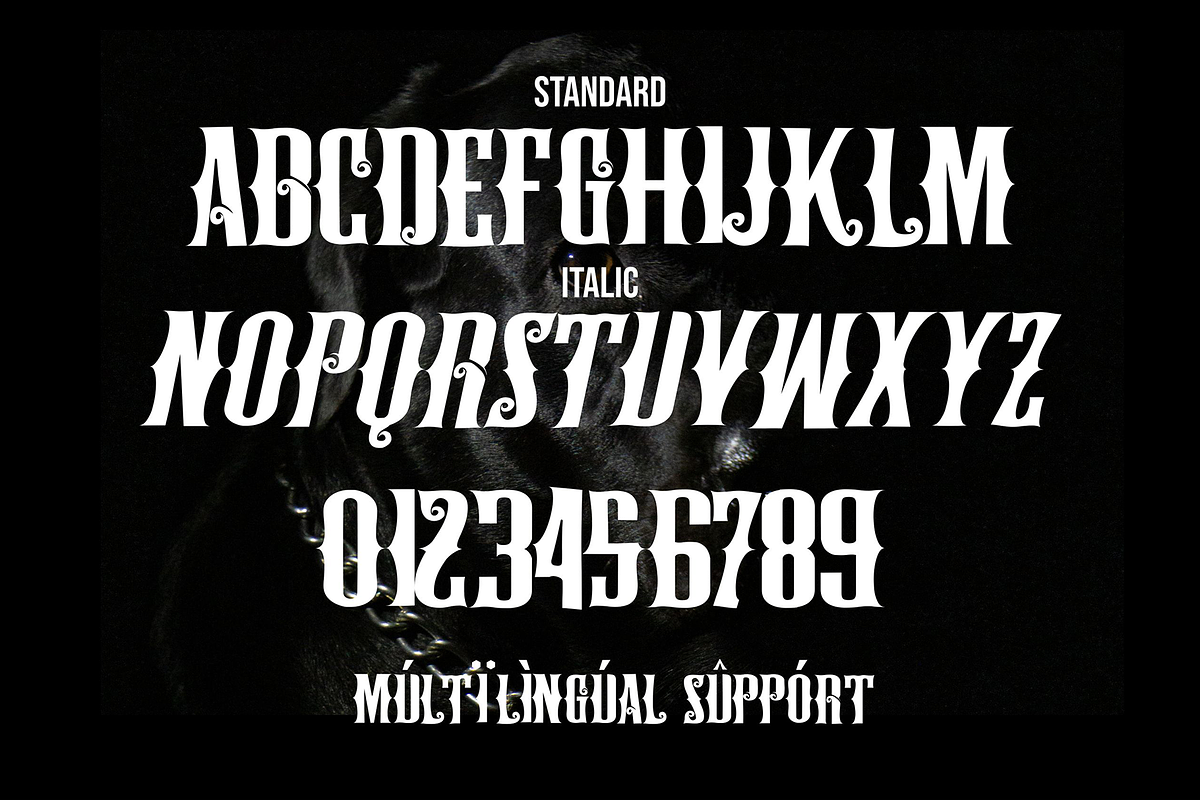Black Brody - Aesthetic Blackletter, a Blackletter Font by figuree studio (Photo 2 of 9)