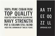 Winston & Winston Sans - 2 Fonts, a Sans Serif Font by Bebop Font Foundry (Thumbnail 4 of 5)