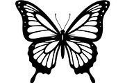 Elegant Butterfly Silhouette, an Object Graphic by Designer_Momina (Thumbnail 3 of 18)