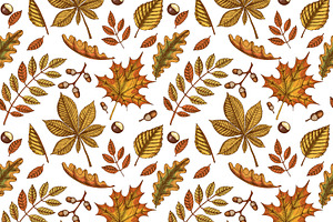 Pumpkins And Leaves Set