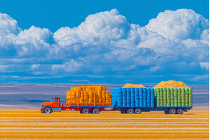 Lentils are being transferred from a, a Transportation Photo by ZinetroN