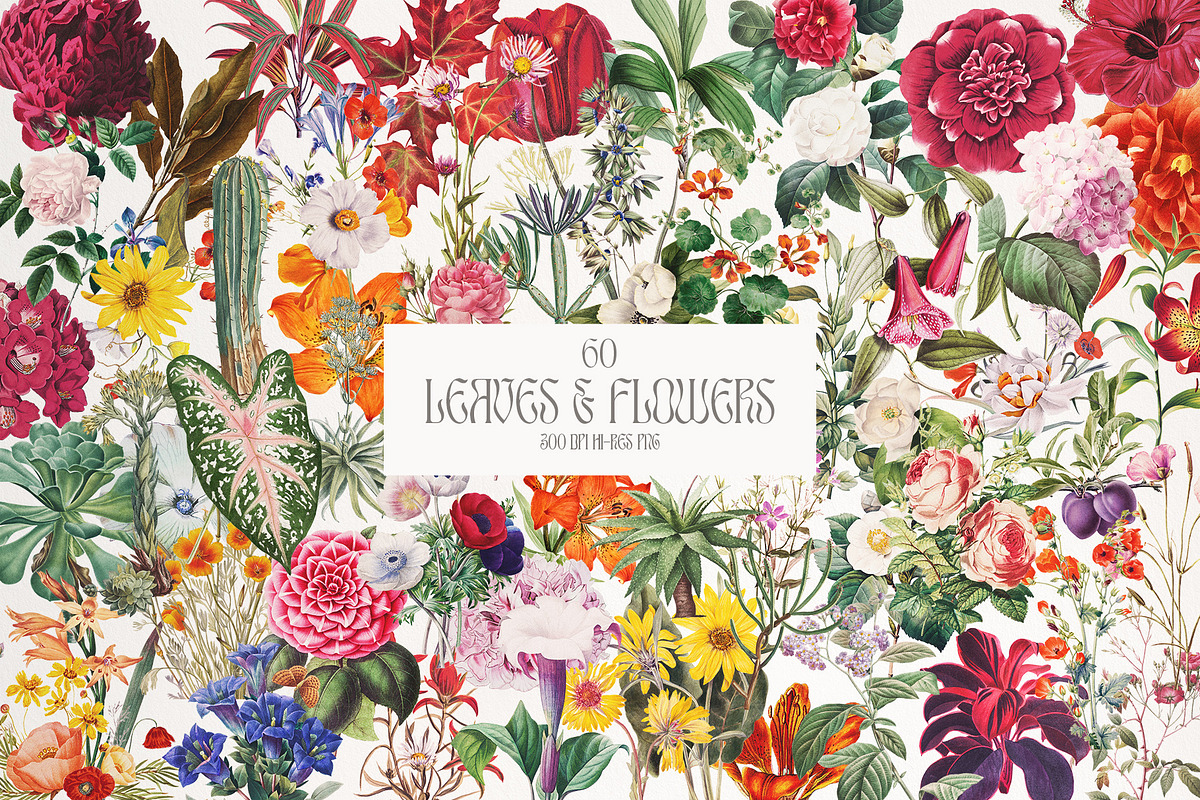 SALE! Collage Creator + Posters, an Object Graphic by CarmineType (Photo 4 of 20)