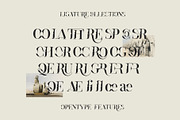 Broger Display, a Serif Font by Damelev (Thumbnail 9 of 10)