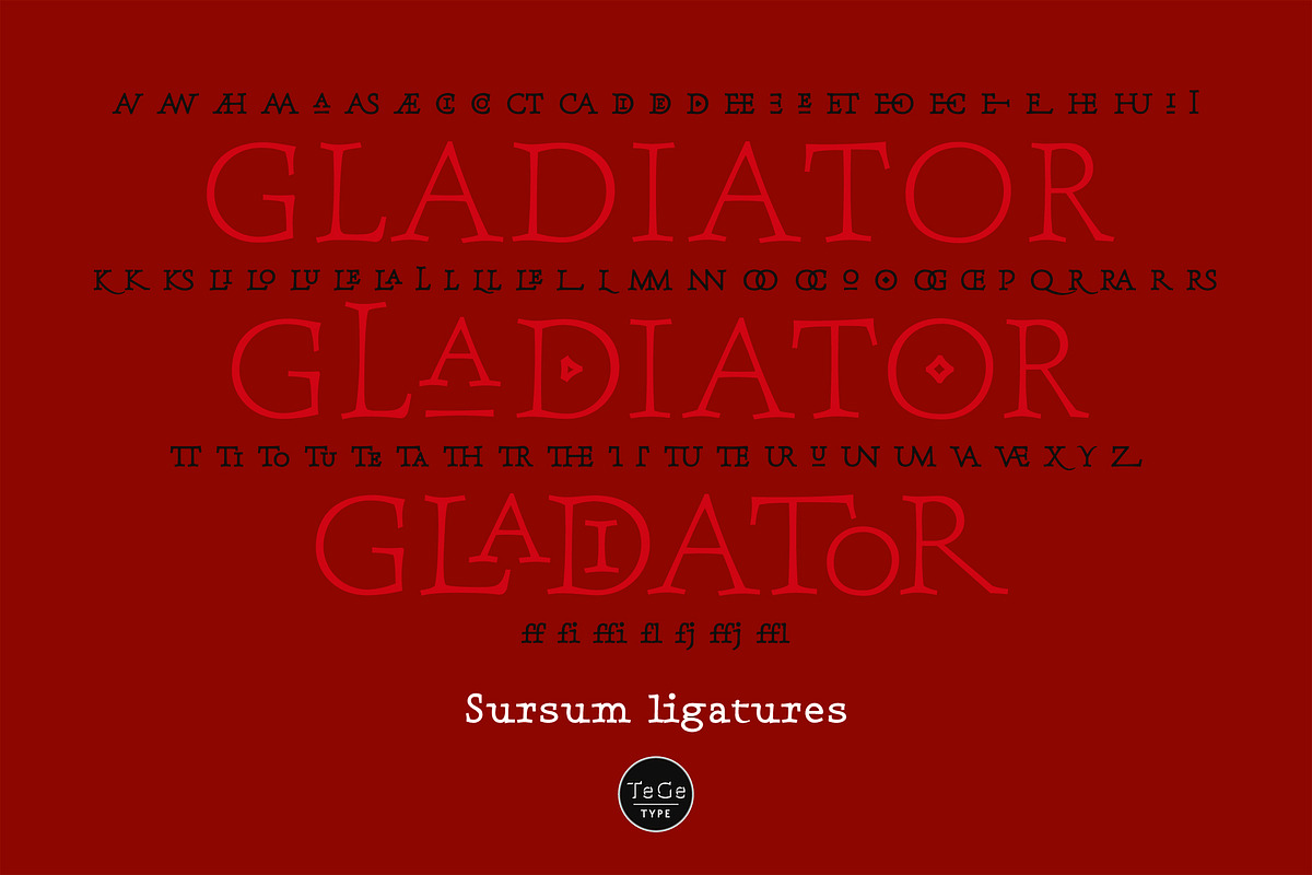 Sursum, a Serif Font by TeGeType foundry (Photo 5 of 5)