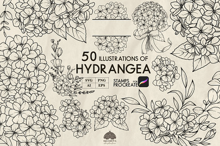 Hydrangea line art + Procreate, a Decorative Illustration by Skliarova