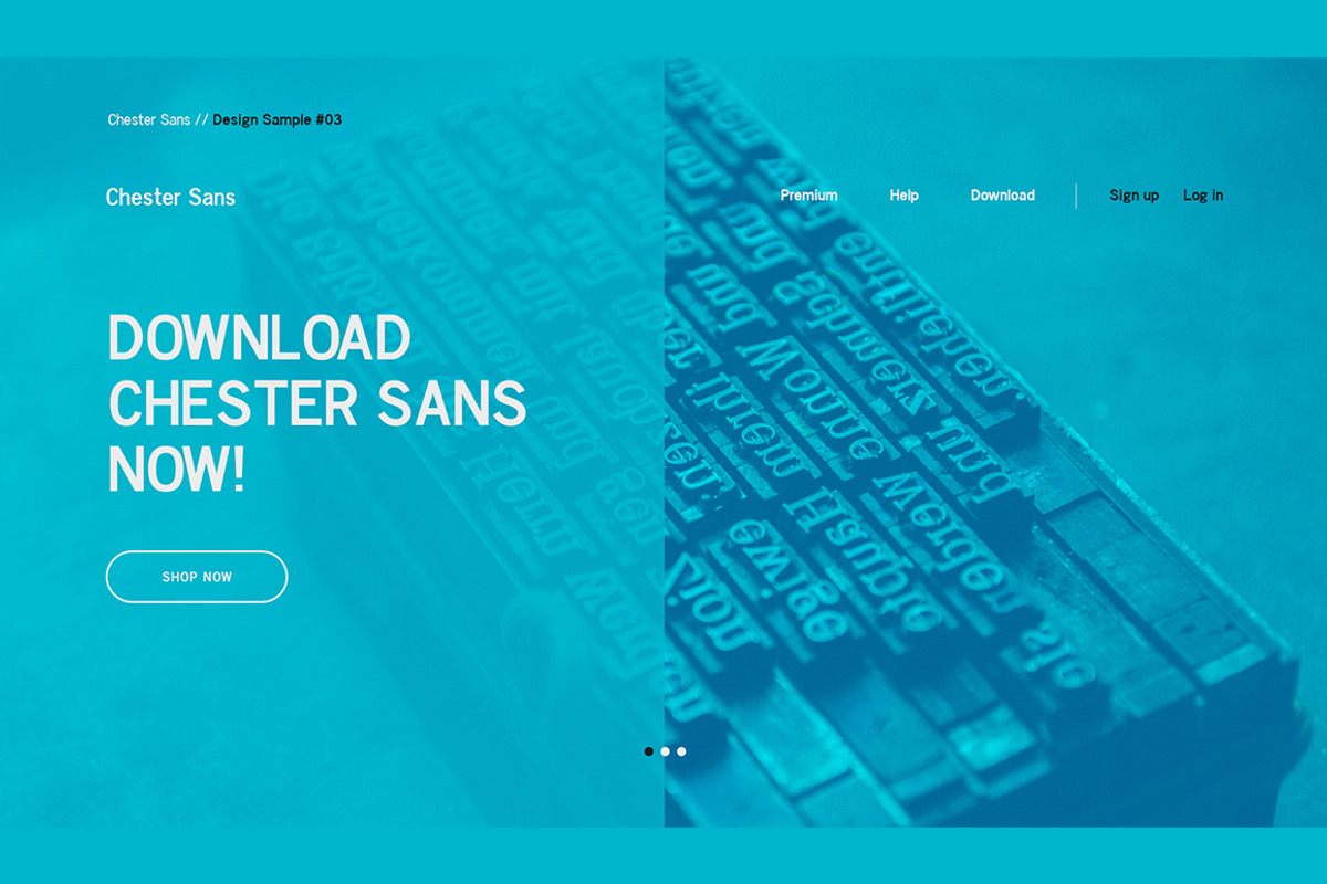 Chester Sans - Type Family, a Sans Serif Font by BorisG (Photo 12 of 13)