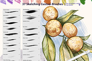 PROCREATE SKETCHBOOK BRUSHES, a Brush Add-On by AlexandraArt (Thumbnail 3 of 7)