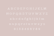 Apple Hill Duo, a Serif Font by Sofia Skoog (Thumbnail 4 of 12)