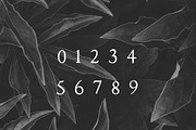 Walker: a Handlettered Serif, a Serif Font by Margot + Co (Thumbnail 2 of 11)