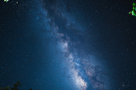 Night scene milky way background,Trees Against Sky At Night, a Nature Photo by Art Rachen