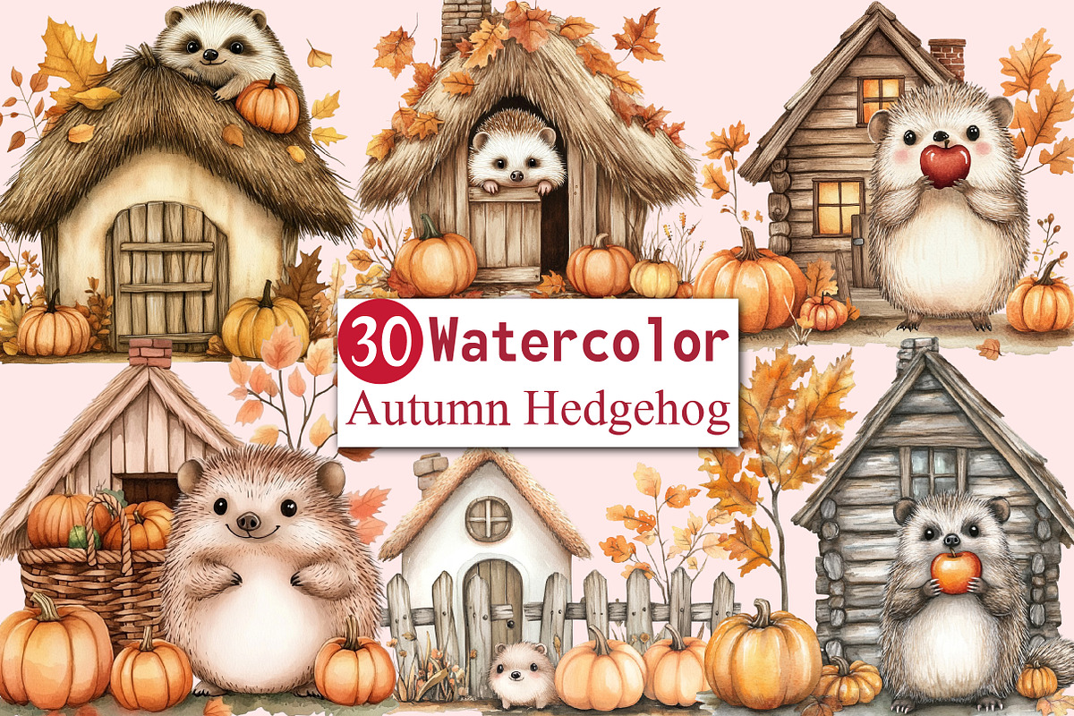 Autumn Hedgehog with House Clipart, an Illustration by CitraGraphics (Photo 1 of 6)