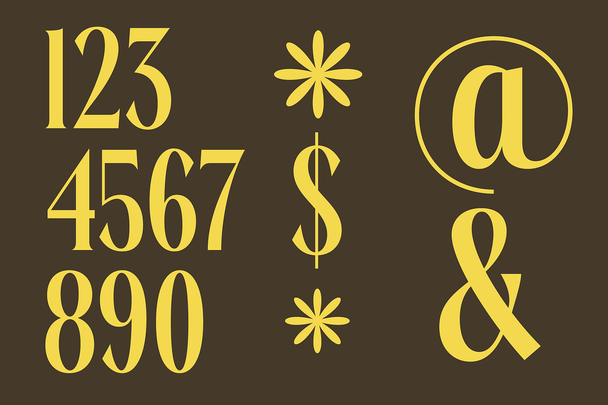 Rachon Bold Tall Display Serif, a Serif Font by timelesstype.co (Photo 5 of 20)