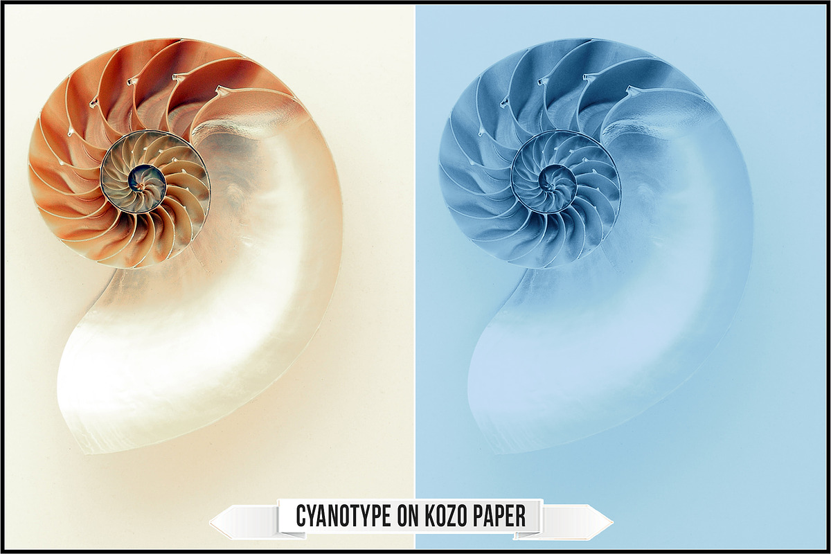 Authentic Cyanotype LUTs, a Plug-in Add-On by Raztrend (Photo 26 of 32)