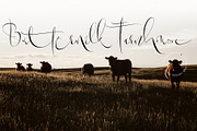 Permacultur, a Script Font by Papermode Co. (Thumbnail 14 of 16)