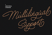 Houstoner Script + EXTRAS! (40%OFF), a Script Font by Martype (Thumbnail 12 of 14)