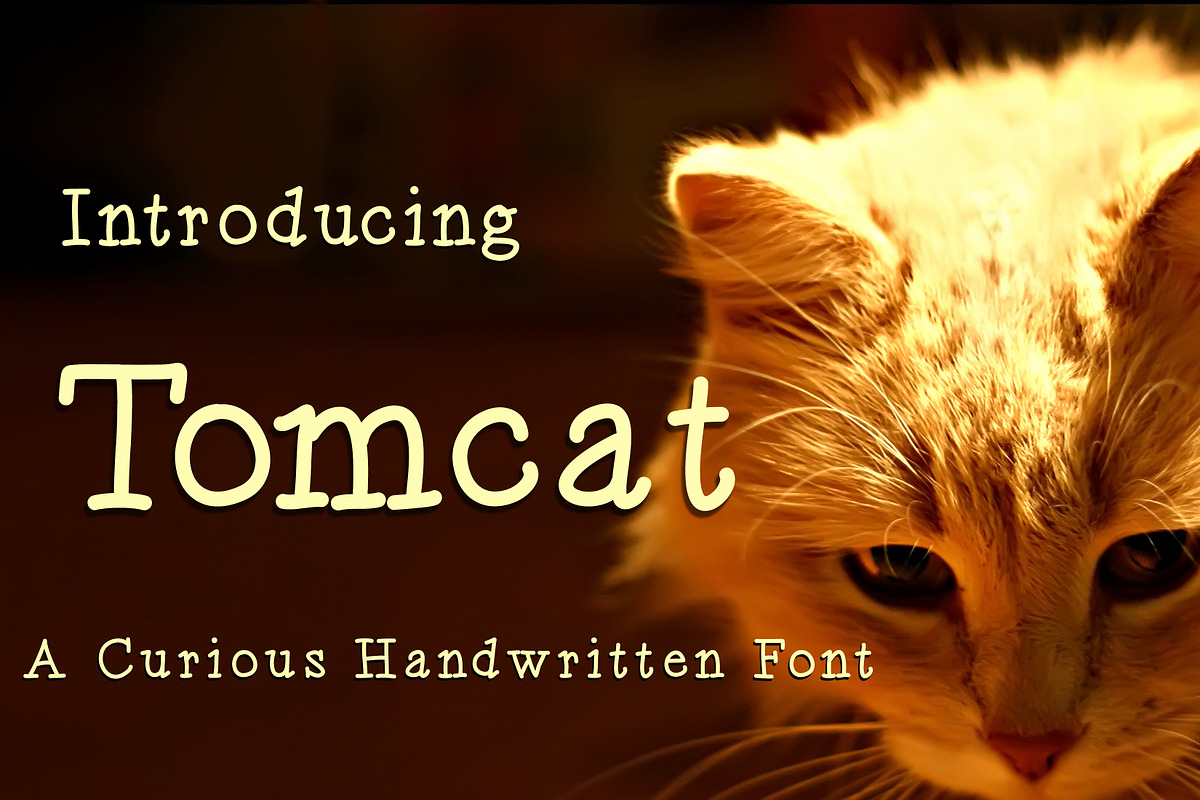 Tomcat