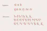 Naervik | Modern Serif, a Serif Font by Denustudios (Thumbnail 12 of 13)