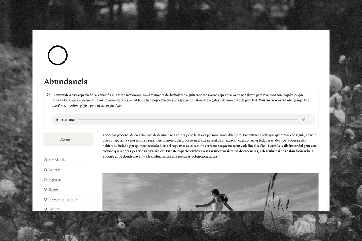 Serenidad financiera Notion Tracker, a Templates & Theme by The Peach Shop (Photo 4 of 6)