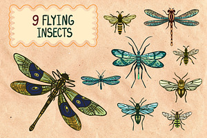 Boho Insects. Elements&patterns