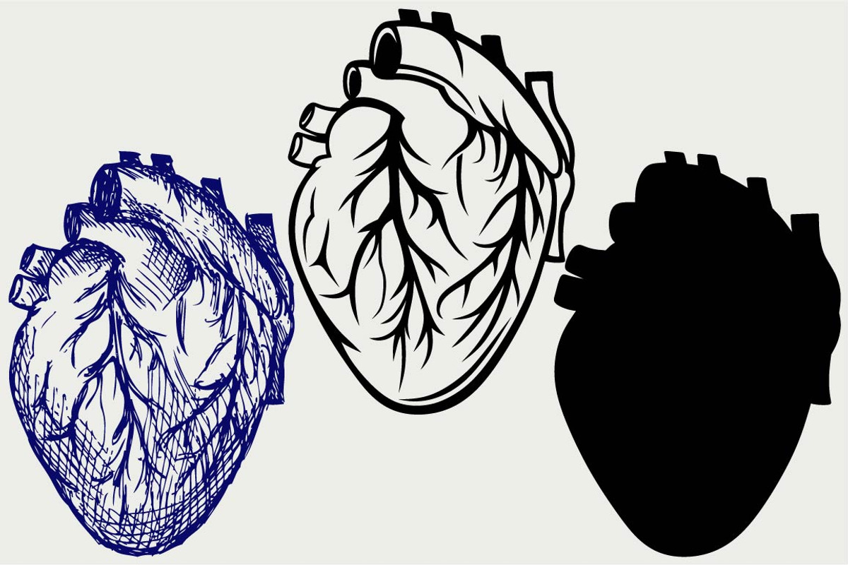 Human heart SVG, an Outline Icon by LineworkStock