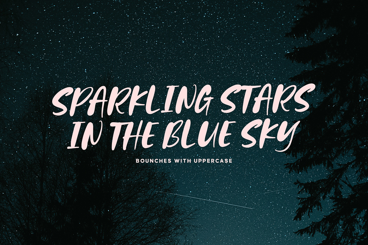 Bounches Font, a Script Font by trustha (Photo 13 of 14)
