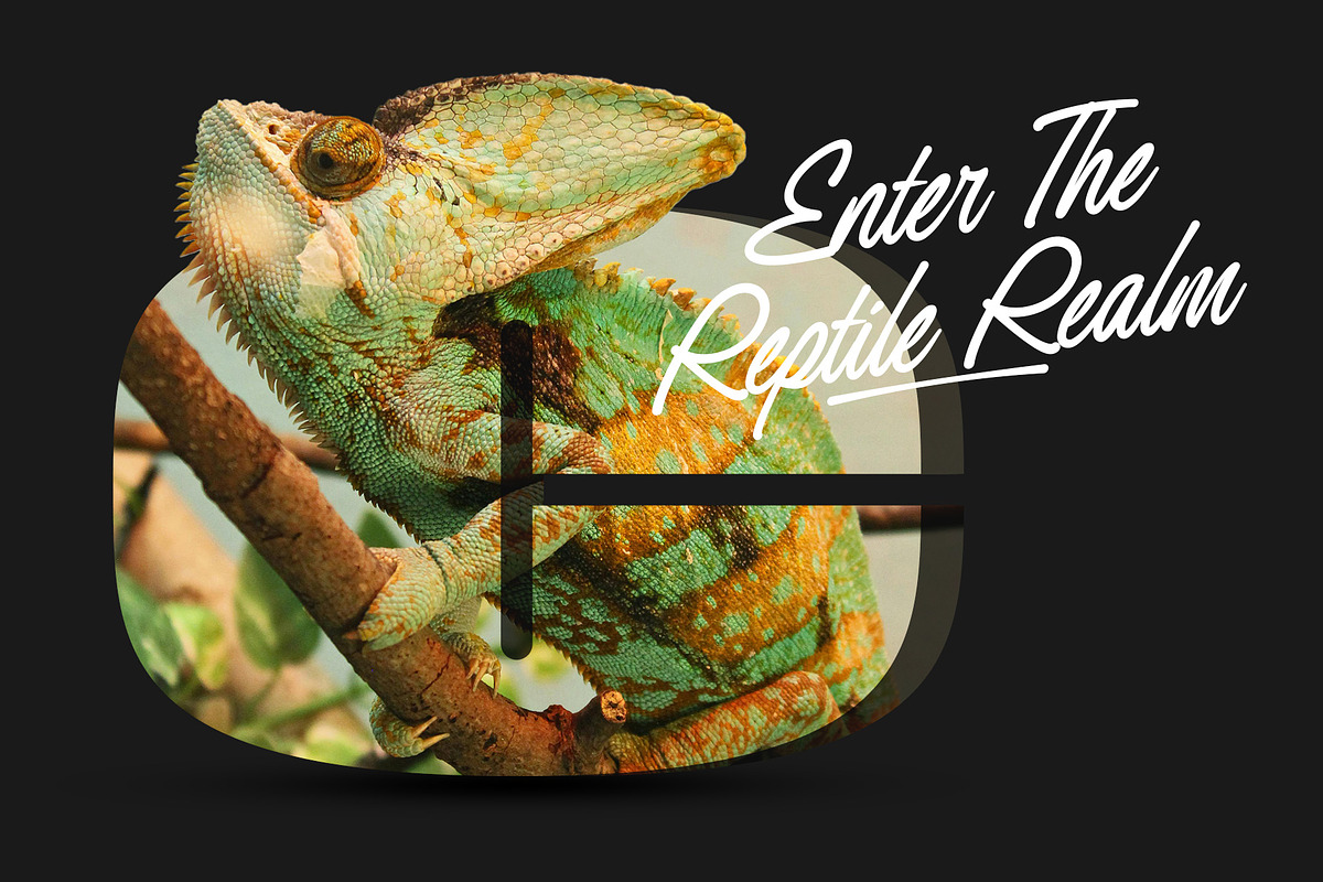 Redrun | Font Duo, a Script Font by Lemonthe (Photo 5 of 8)