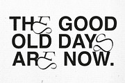 Silvera- Serif Typeface, a Serif Font by Tropical Type (Thumbnail 4 of 12)