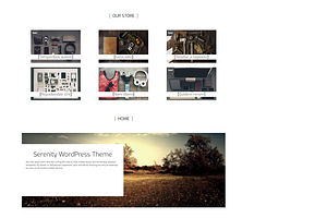 Serenity - Wordpress Business Theme