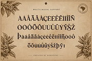 Santos Ember - Modern Serif Font, a Serif Font by overlaytemplates (Thumbnail 5 of 5)