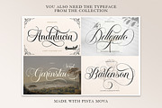 Platinum script, a Script Font by Pista Mova (Thumbnail 11 of 11)