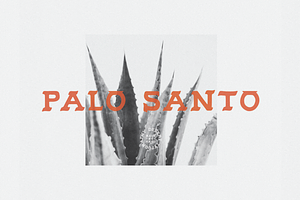 Palo Santo
