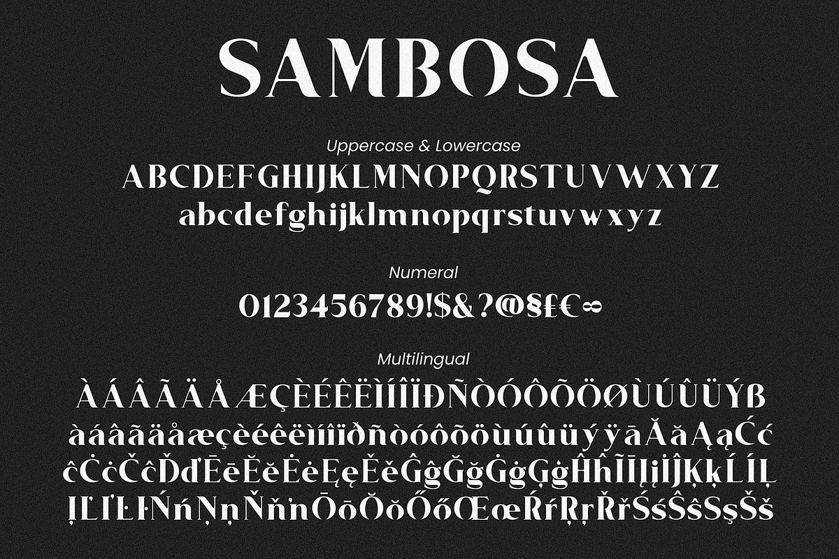 Sambosa - Modern Serif Font, a Serif Font by HanzelSpace Studio (Photo 10 of 10)