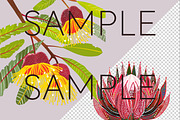 Aboriginal Style Flower Clipart PNG, a Decorative Illustration by Pawcasso's Portraits (Thumbnail 5 of 9)