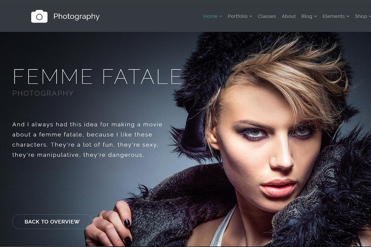 Photography Gallery WordPress Theme, a WordPress Template by Visualmodo (Photo 7 of 21)