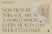 CS Parsite – Elegant Font, a Serif Font by Craft Supply Co. (Thumbnail 5 of 8)