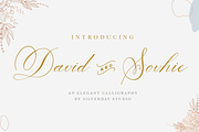 David and Sovhie, a Script Font by Silverdav (Thumbnail 1 of 7)
