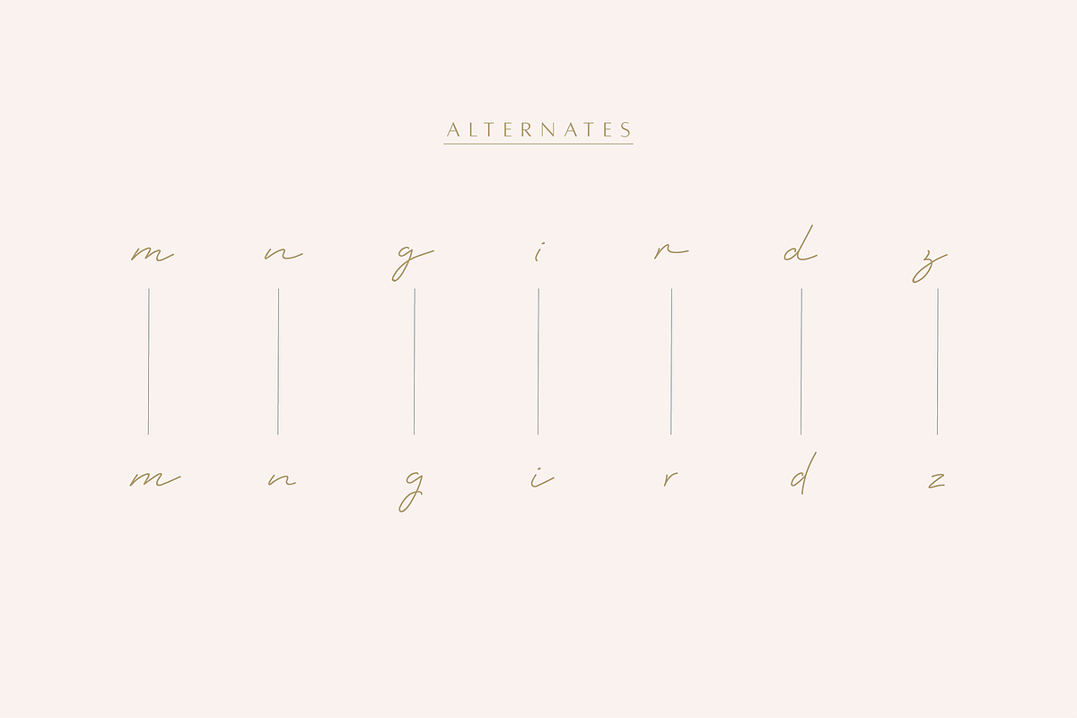 Monoline Boho | A Handwritten Script, a Handwritten Font by Vanem Studio (Photo 8 of 11)