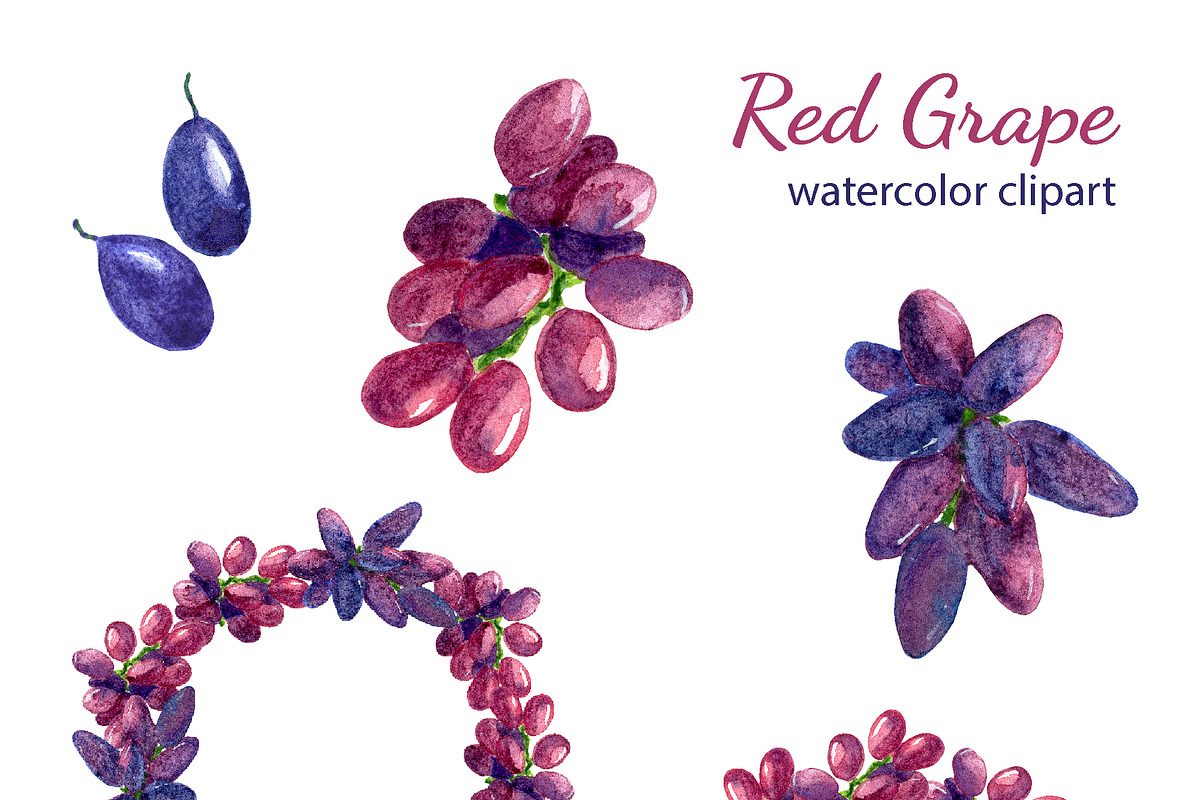 Red grape watercolor clipart, an Illustration by s.yanyeva (Photo 2 of 7)