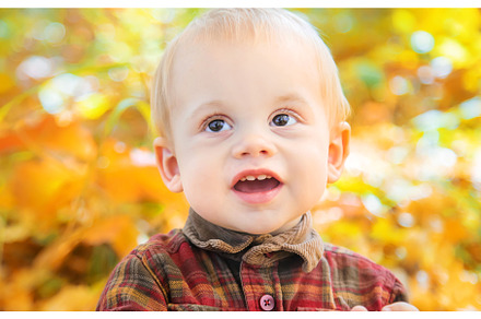Little kid boy in the park on autumn, a Nature Photo by yanadjana