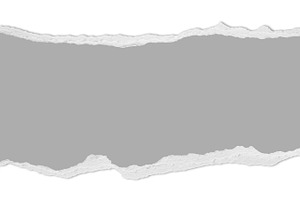 Ripped paper with copy space