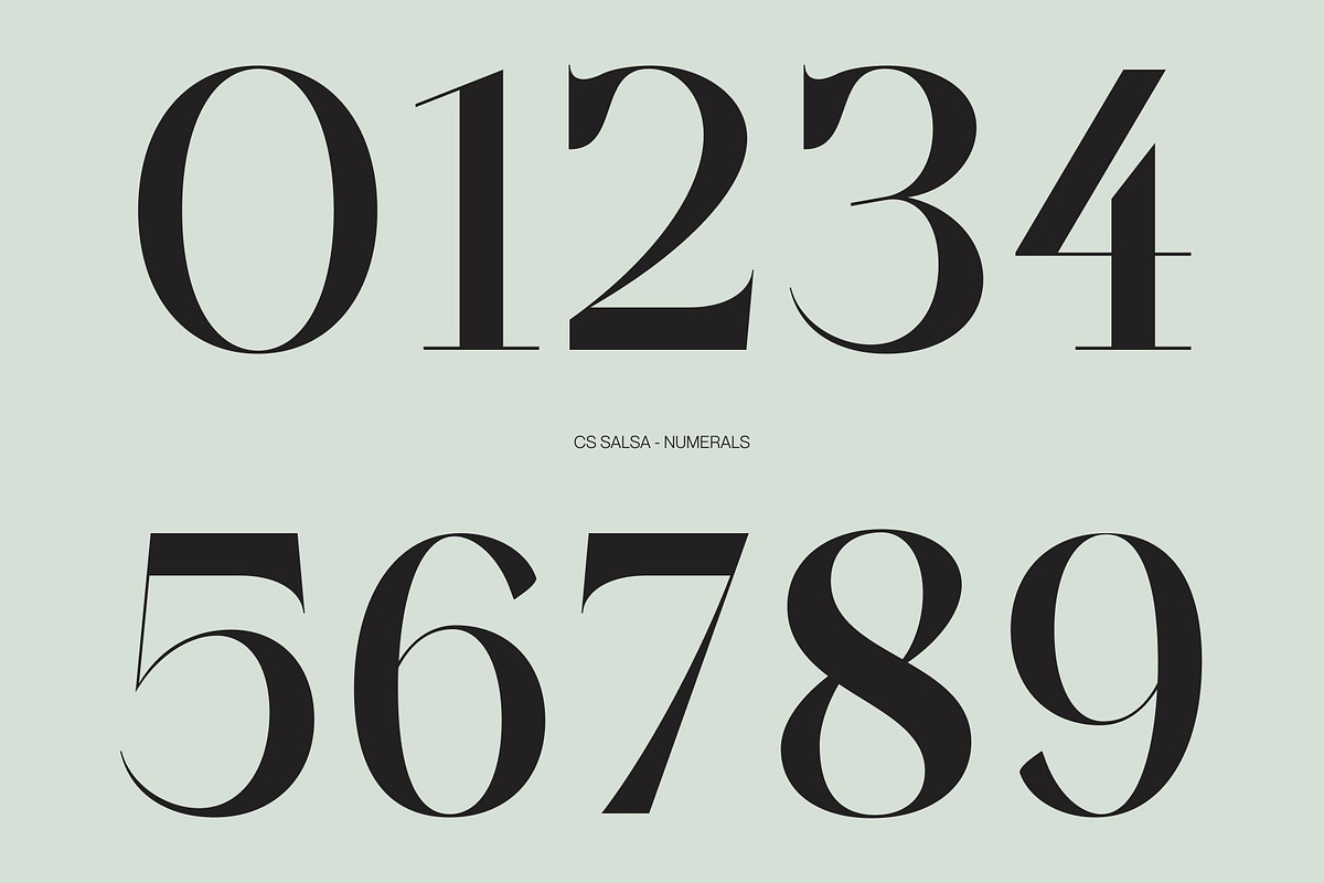 CS Salsa – Elegant Serif Font, a Serif Font by Craft Supply Co. (Photo 5 of 8)