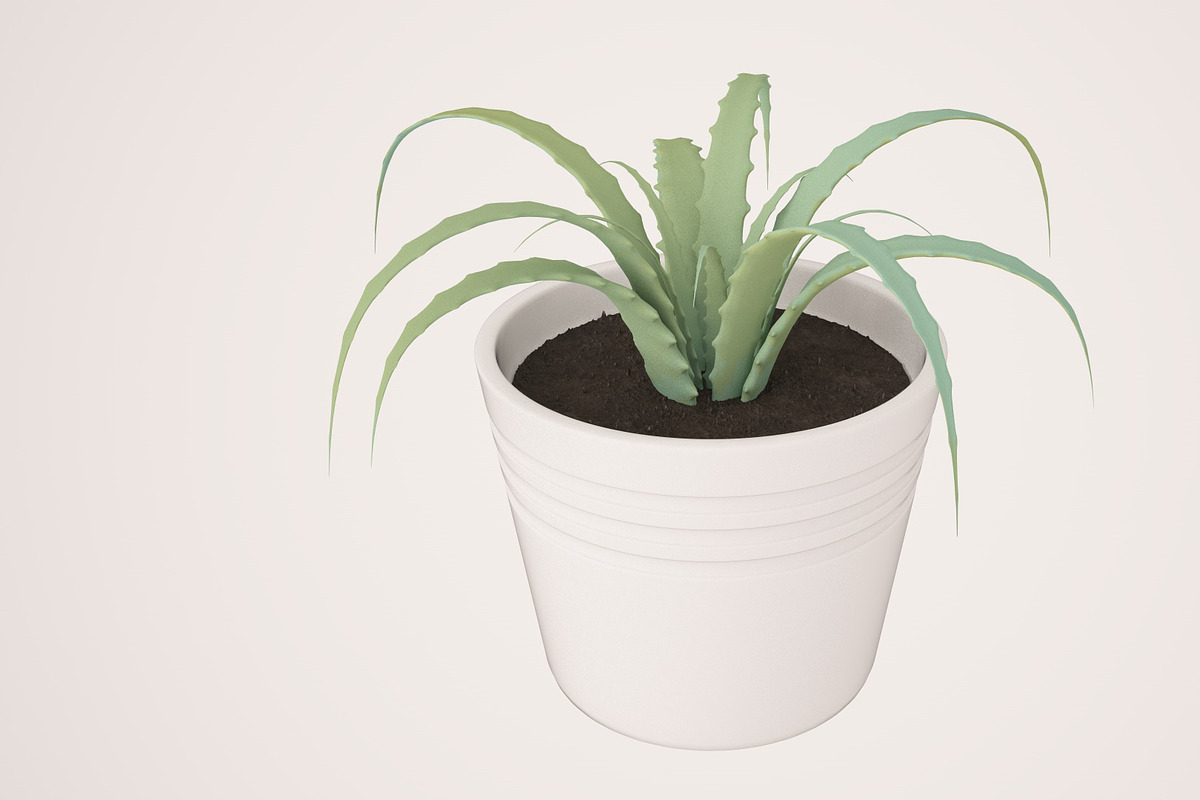 Plant n°1, an Object 3D Model by 3D Furnishing (Photo 10 of 20)