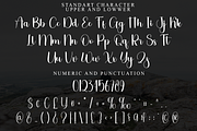 Cherry Christmas, a Handwritten Font by FreshTypeINK (Thumbnail 4 of 8)