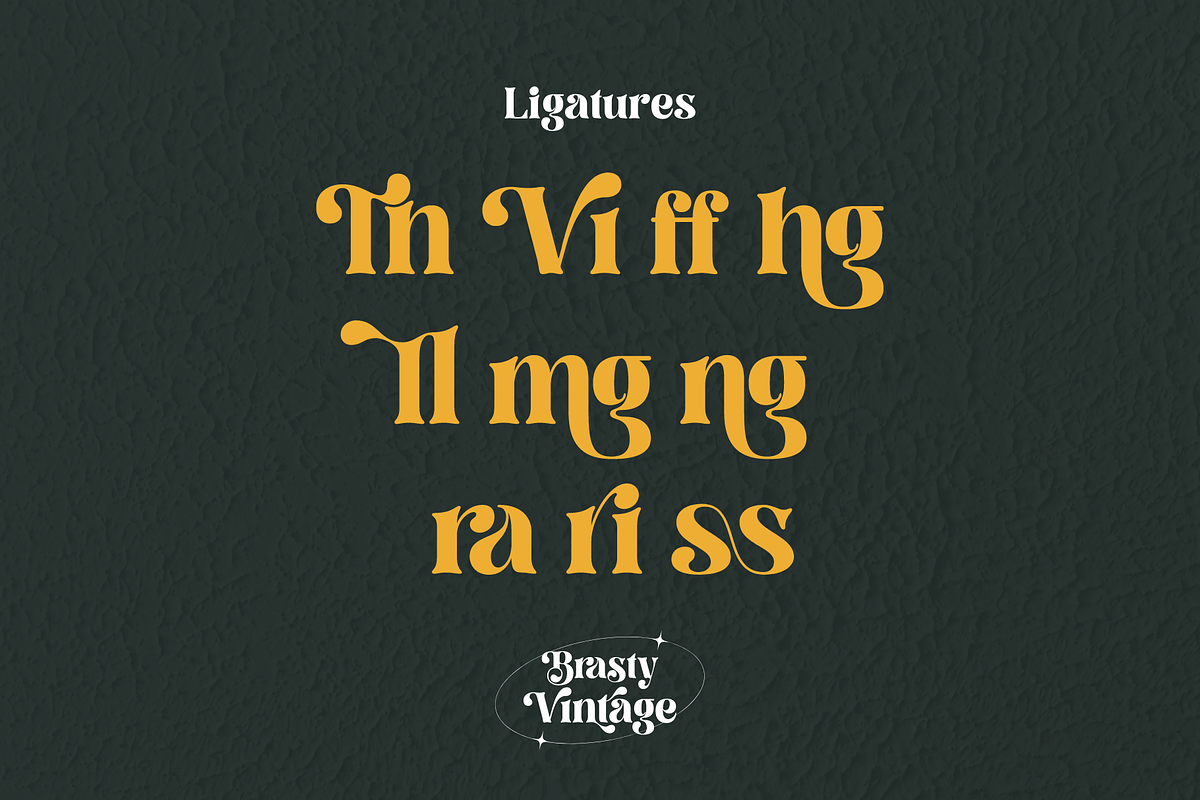Brasty Vintage - Retro Serif Font, a Serif Font by Holyline Design (Photo 7 of 16)