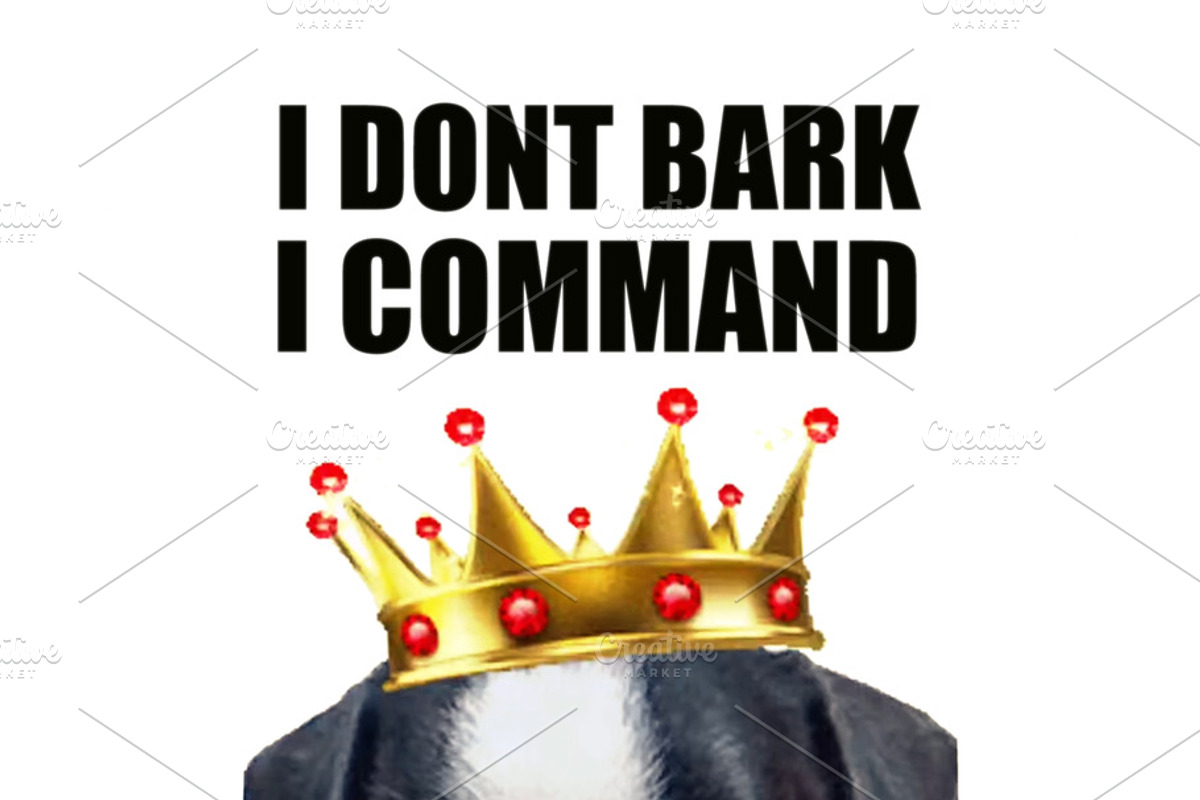 Baby dog with sunglasses and king crown and funny phrase, an Animal Illustration by DanFLCreativo