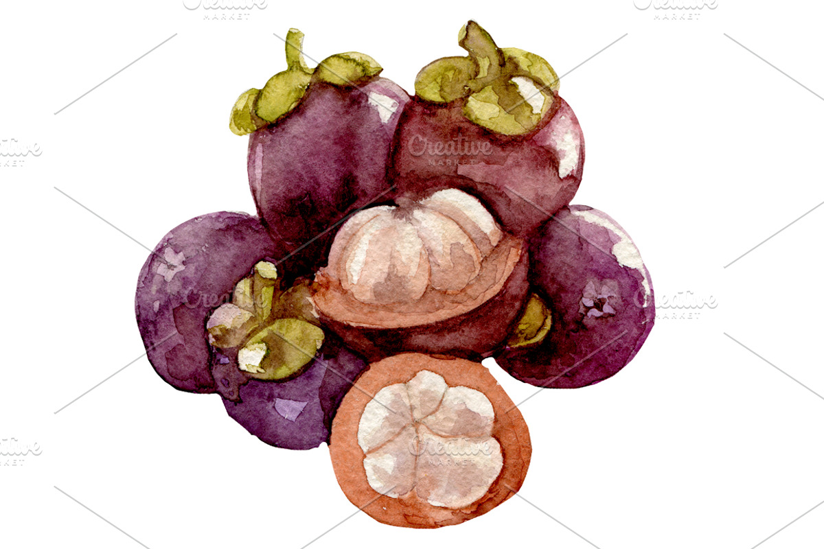 Watercolor 24 fruits set, a Food Illustration by My watercolor shop (Photo 5 of 16)