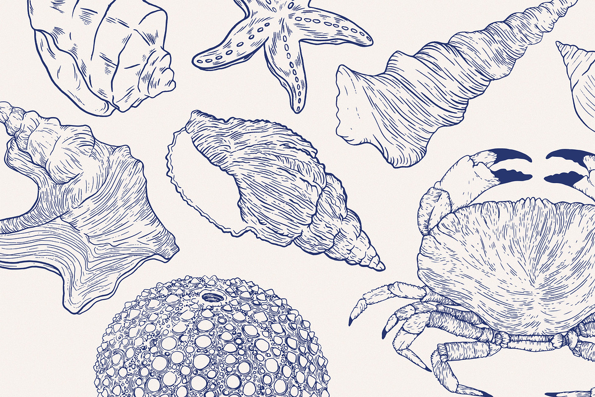 Seashells and seafood Illustrations, a Food Illustration by MargauxQuercy (Photo 5 of 5)
