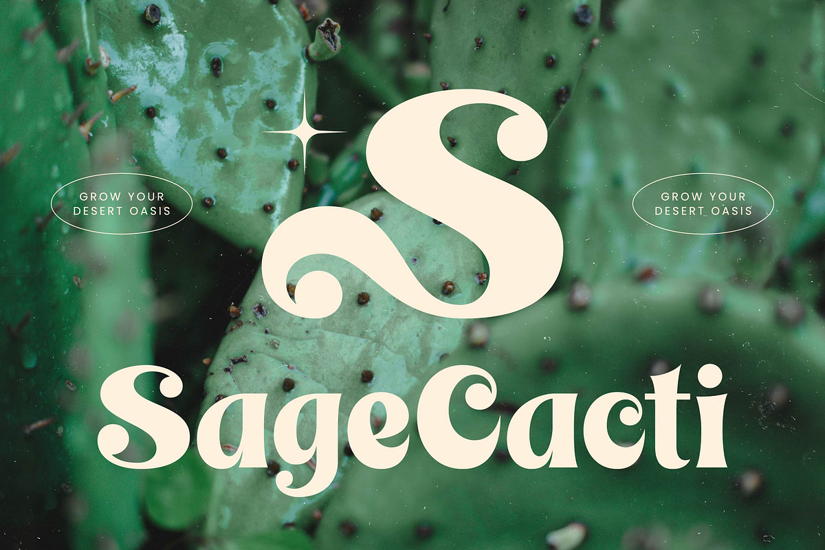 Bright Kenly Modern Retro Serif, a Serif Font by timelesstype.co (Photo 3 of 20)