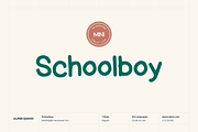 Schoolboy Playful Font, a Script Font by alpercakici (Thumbnail 1 of 14)