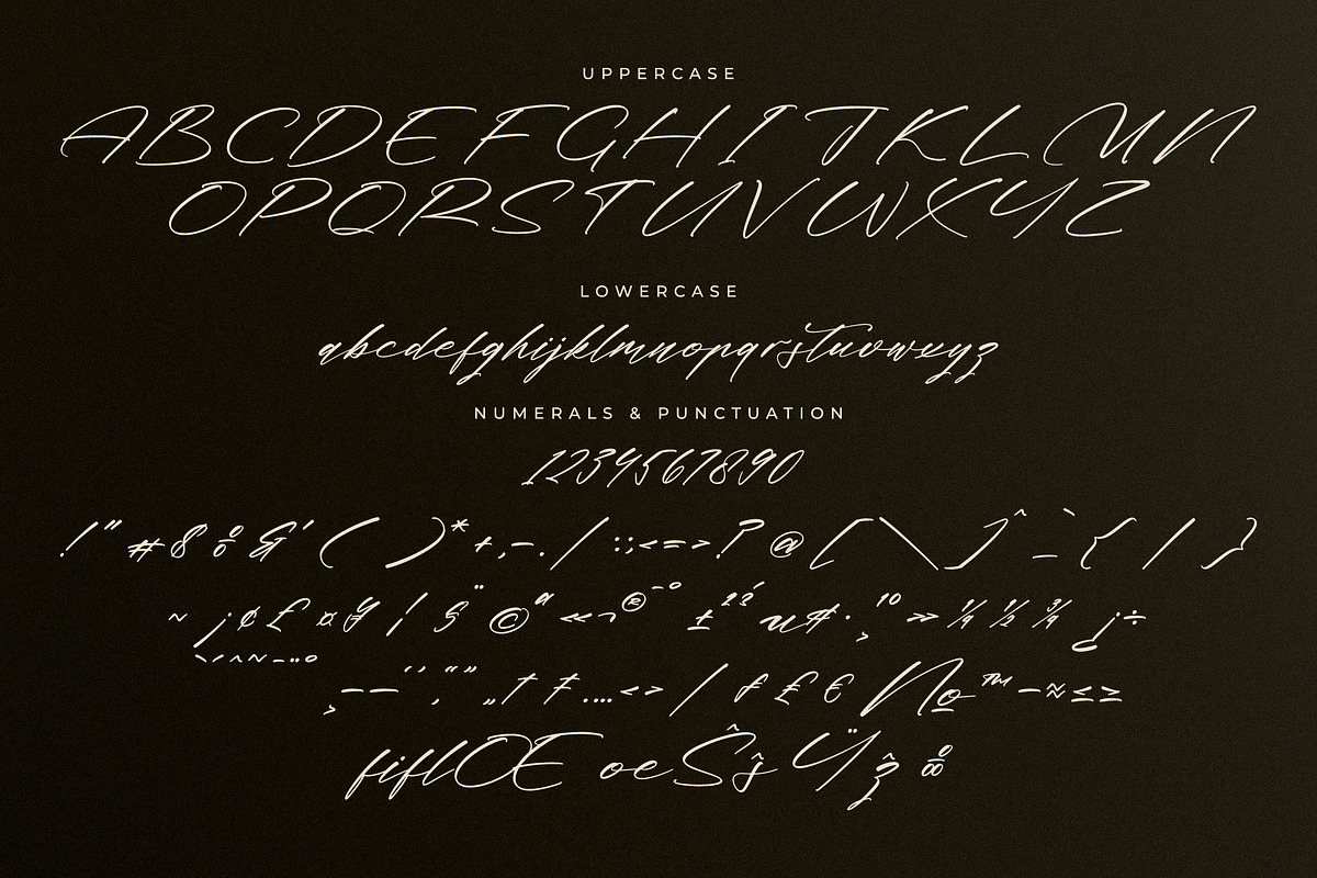 Midnight Realtime Modern Calligraphy, a Script Font by Letterena Studios Script (Photo 13 of 15)